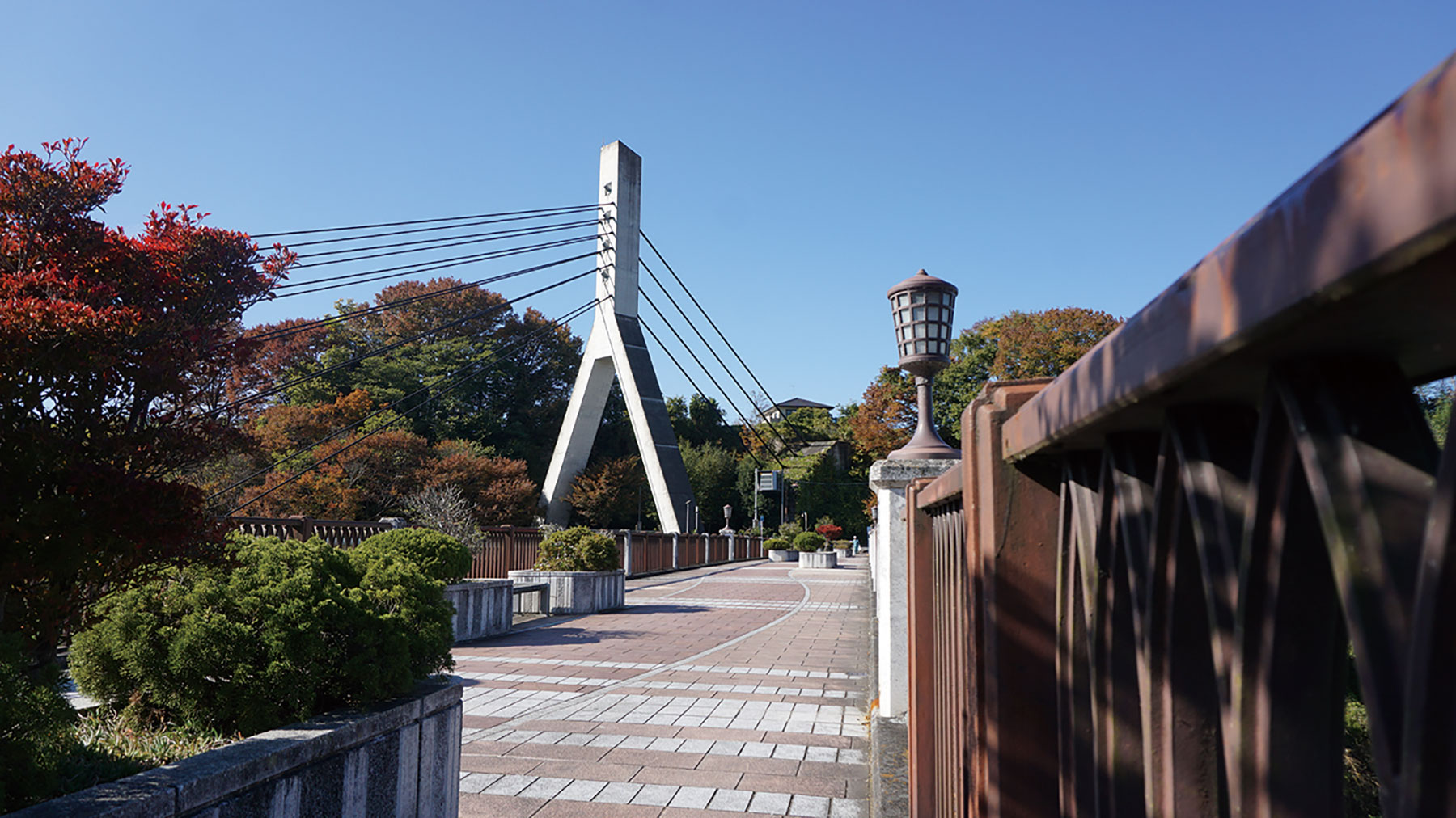 空の青さを知る人よ Febri